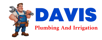 Trusted plumber in MULE CREEK